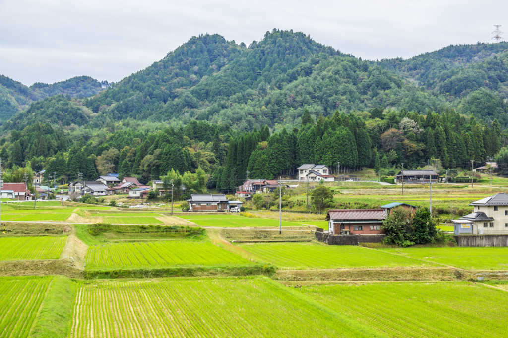 瑞浪市の田園風景
